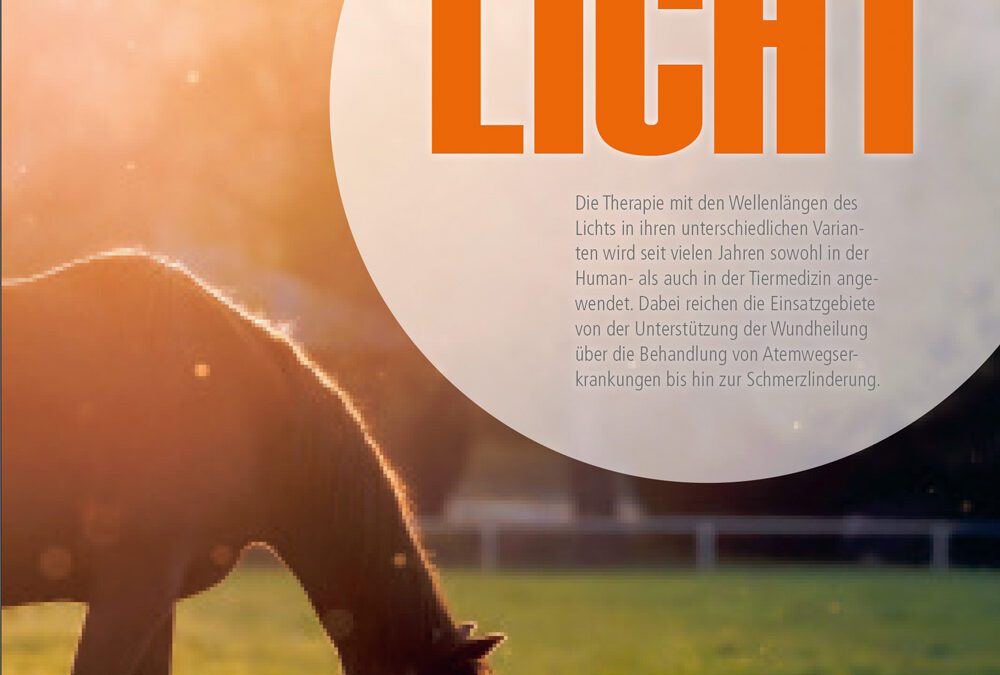 Reiterjournal Bayern – Lichttherapie – Laserakupunktur