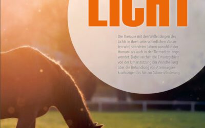 Reiterjournal Bayern – Lichttherapie – Laserakupunktur